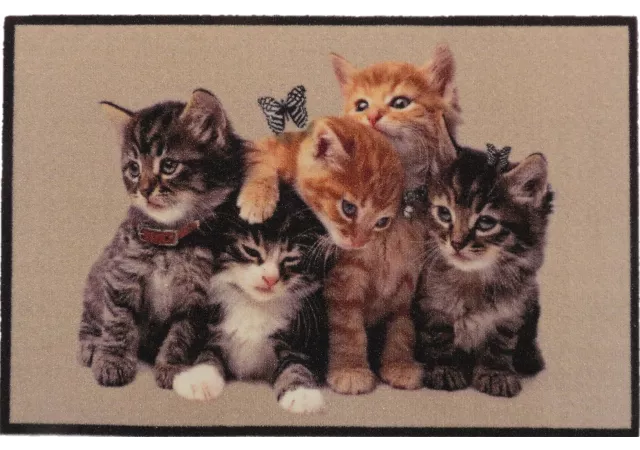 Deurmat groep jonge katten (50x80)