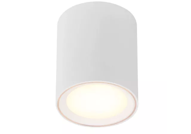 Fallon plafondlamp wit (incl. LED)